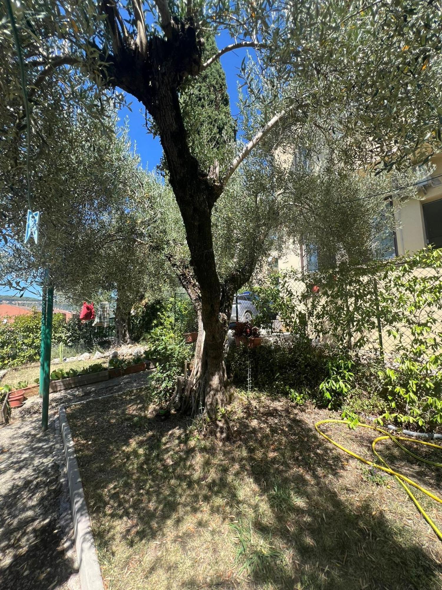 La Locanda Delle Idee Santa Lucia Perugia Exteriör bild